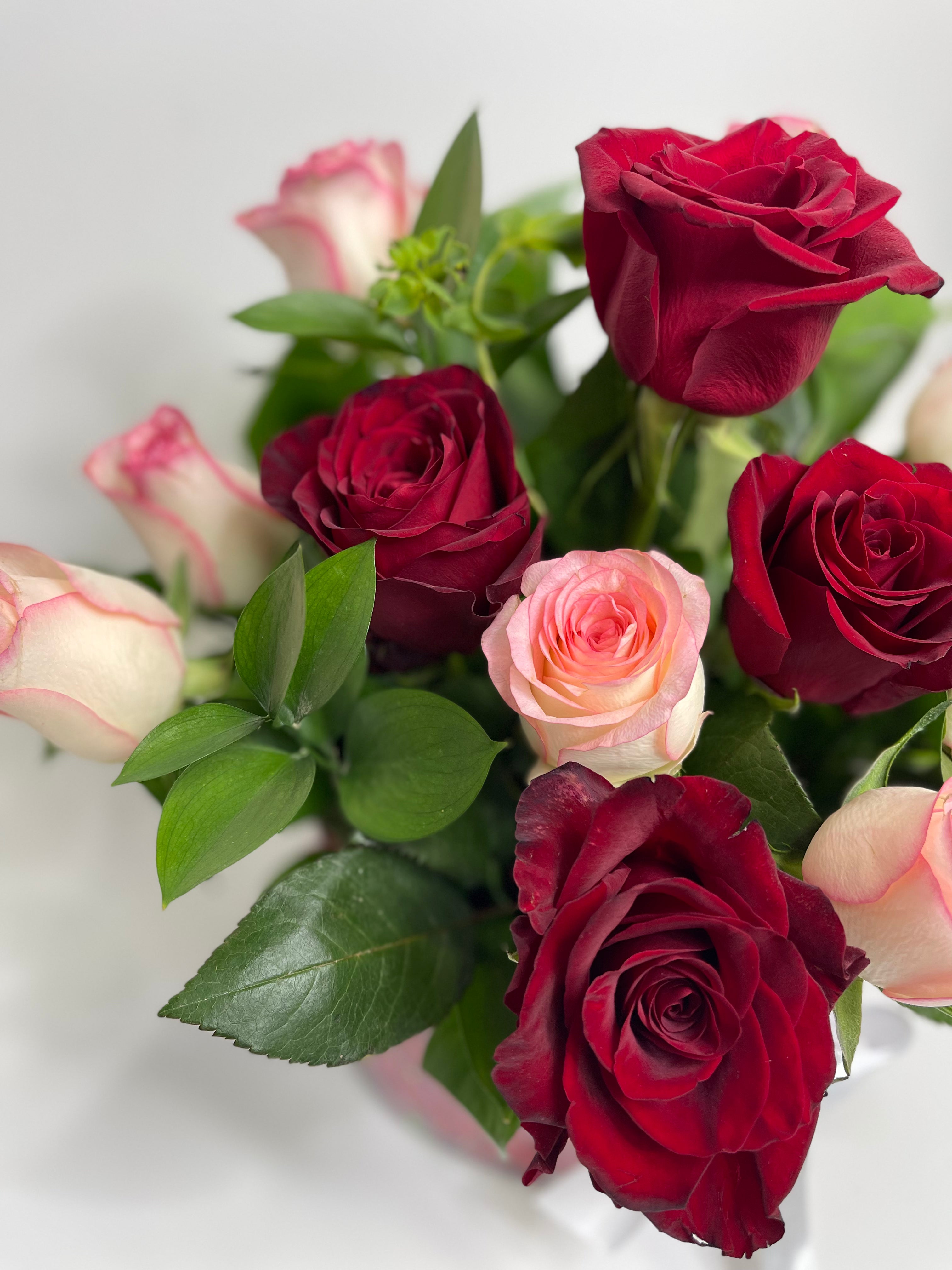 Royal Love Roses